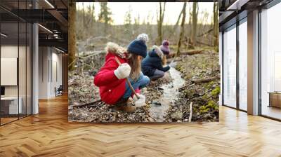 Two cute young sisters having fun by a river on warm spring day. Children playing together by a water. Wall mural