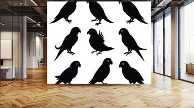 Set of Parakeet black Silhouette Vector on a white background Wall mural