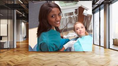 caucasian woman and african-american dentist Wall mural