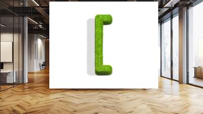 Grass square bracket punctuation mark from top angle with shadow on ground. Wall mural