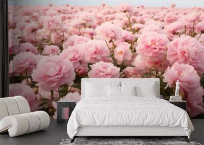 A lush field of Pink Peonies flowers wallpaper background, beautiful nature, dreamy Wall mural