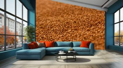 Barley grains in storage. Grain background, grain mass texture. Grain in barns and granaries selective focus. Beer brewing ingredients Wall mural