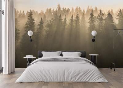 Sun rays through pine forest in morning fog. Wall mural