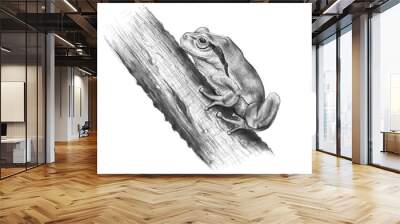 frog tree / digital painting Wall mural