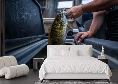 Smallmouth Bass  Wall mural