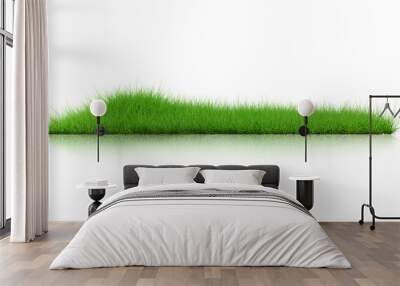 Grass isolated on white background. 3d rendering illustration. Wall mural