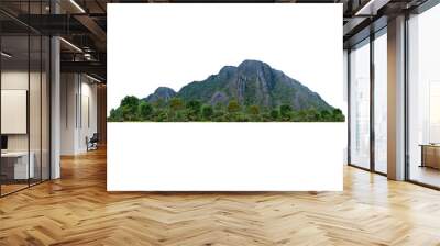 mountain isolated transparency background... Wall mural