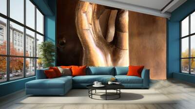 hand of buddha statue In Thailand Wall mural