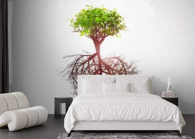 tree of love concept roots heart shape Wall mural