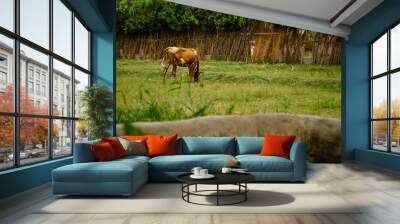 Cow in the meadow Wall mural