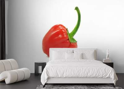 Red color bell pepper or paprika in white background Wall mural