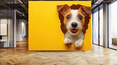 Dynamic image of a Russell Terrier dog bursting through a yellow wall, offering a creative banner design with blank copy space for custom advertising and messaging. Wall mural