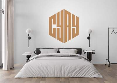 letters CYAY creative polygon hexagon logo victor template Wall mural