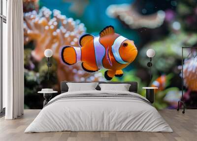 Nemo fish with bright orange color and striking black stripes, swimming happily in a colorful aquarium, Ai generated Images Wall mural