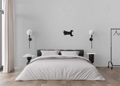 bird in flight Wall mural