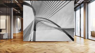 Modern Bridge Architecture  Wall mural