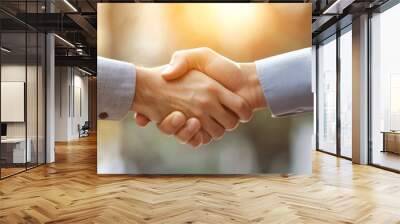 Two Hands Shaking in a Deal, a Promise of Success Wall mural