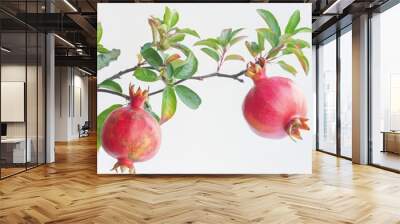 Two Red Pomegranates on a Branch with Green Leaves Wall mural