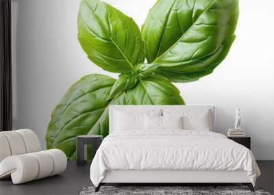 Fresh basil leaves isolated on a white background Wall mural