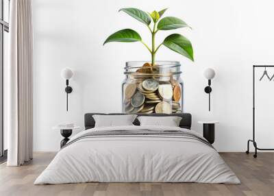 Jar of money plant economy green on transparent background Wall mural