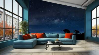 Amazing Panorama blue night sky milky way and star on dark background.Universe filled with star, nebula and galaxy with noise and grain. Over Light and selection focus.with Silhouette of the  Elephant Wall mural