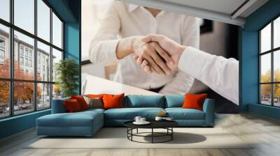 Business partnership hand shaking successful commerce dealing. Wall mural