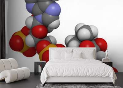 acetyl-coenzyme a (acetyl-coa) biochemical, molecular model. Wall mural