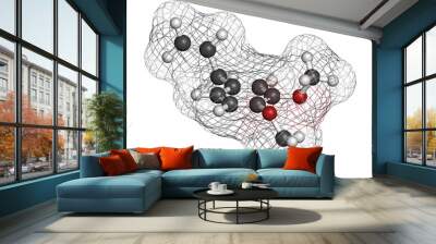 Methyl eugenol molecule. 3D rendering. Atoms are represented as spheres with conventional color coding: hydrogen (white), carbon (grey), oxygen (red). Wall mural