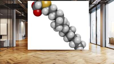 Tetradecylthioacetic acid molecule. 3D rendering. Atoms are represented as spheres with conventional color coding: hydrogen (white), carbon (grey), oxygen (red), sulfur (yellow). Wall mural