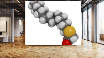 Tetradecylthioacetic acid molecule. 3D rendering. Atoms are represented as spheres with conventional color coding: hydrogen (white), carbon (grey), oxygen (red), sulfur (yellow). Wall mural