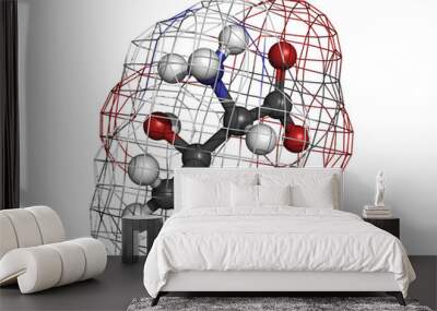 Threonine (Thr, T) amino acid, molecular model. Wall mural