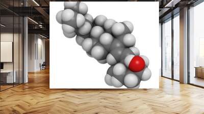 Vitamin D3 (cholecalciferol) molecule Wall mural