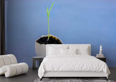 Egg shell with growing sprout Wall mural