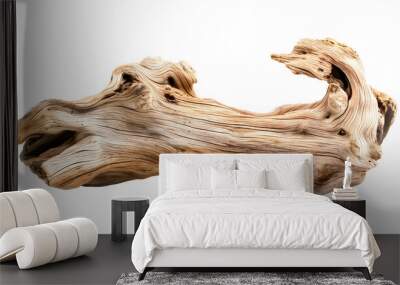 Dried dead tree trunk. Weathered driftwood cut out Wall mural