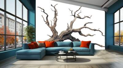 dried old spooky dead tree branch isolated on transparent white background. cut out Wall mural