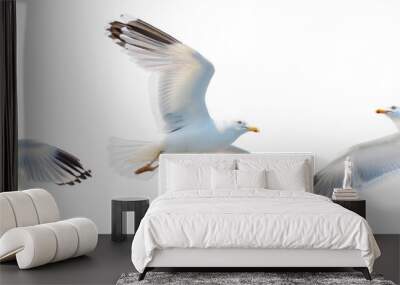 set of seagulls in flight, flying white birds cut out Wall mural