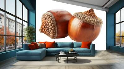 set of two acorns on white background, cut out Wall mural