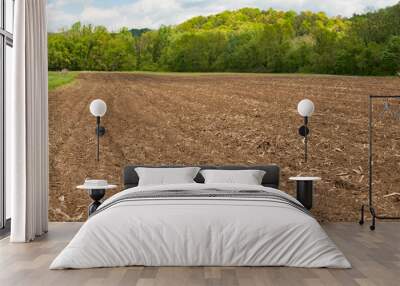 Farm field in fallow ready to be seeded, North Carolina Wall mural