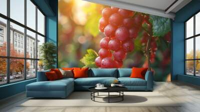 fresh and healthy organic red grape fruit with blurred green natural plantation garden background at agriculture farm. Wall mural