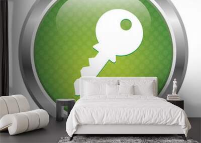 key icon. green Wall mural