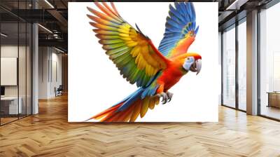 Flying parrot Wall mural