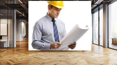 Male contractor engineer Wall mural