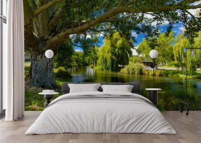 Willow trees by Avon River in Christchurch, New Zealand Wall mural