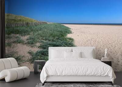 Scottish sand dunes and beach grass Wall mural