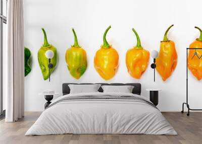 set of habanero chili peppers isolated on white background Wall mural