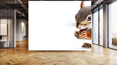 Charming Squirrel Portrait, a delightful full-body depiction of a cute squirrel enjoying a nut, set against a pristine white backdrop, showcasing its playful nature and charm. Wall mural