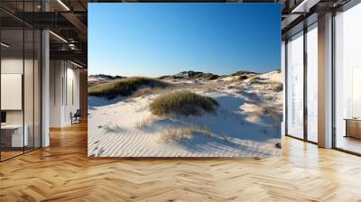 Wind-Swept Dunes, an expansive desert scene featuring undulating sand hills, scattered greenery, and striking shadows cast by the sun against a vibrant blue sky Wall mural