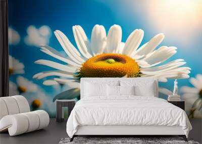 Daisy Flower And The Blue Sky  Wall mural