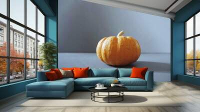 Single Orange Pumpkin on Gray Background Wall mural