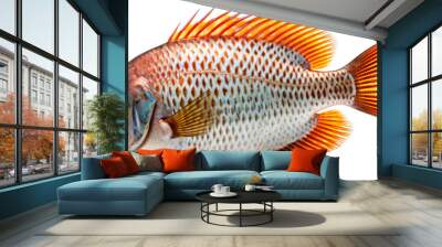 Exotic fish isolated on the transparent background PNG. AI generative. Wall mural